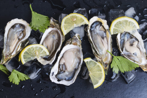 oysters